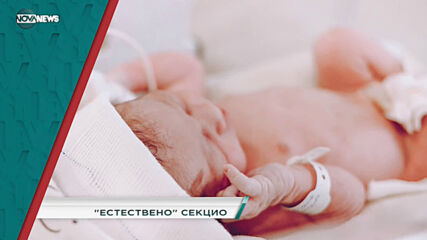 В "Социална мрежа" с водещ Милена Янинска днес от 15:30 ч. очаквайте: