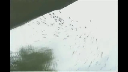 Невероятни умения!!!