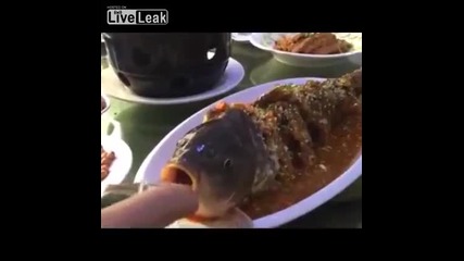 Жива риба за вечеря