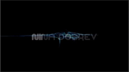 Nina Dobreva // collab part