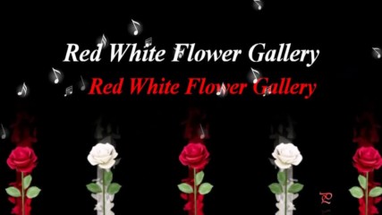 Бяло - червена галерия!
