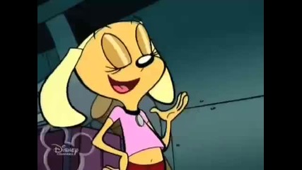Brandy and Mr. Whiskers - Mr. Whiskers First Friend 