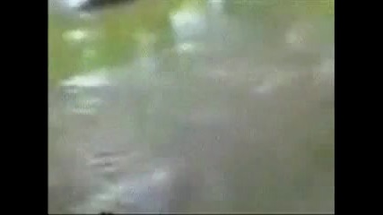 Смешни инциденти ;]