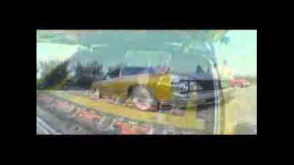 Licks N Tricks Impala 73