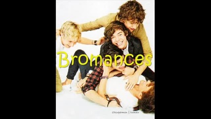Bromances One Direction