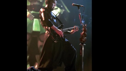 Limp Bizkit (wes Borland)