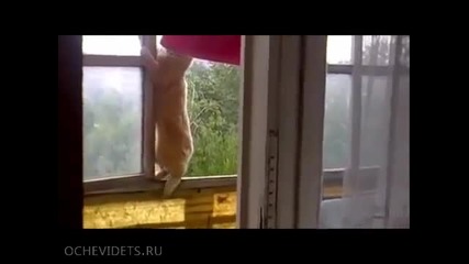 Мисия Невъзможна 2