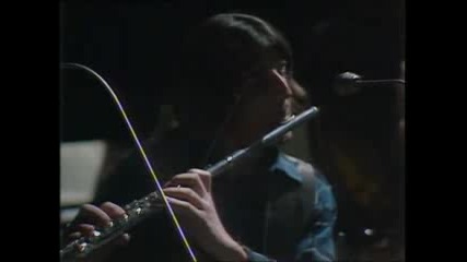 Mike Oldfield - Tubular Bells Live - Part 2