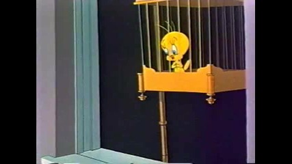 Tweety And Sylvester - Catty Cornered