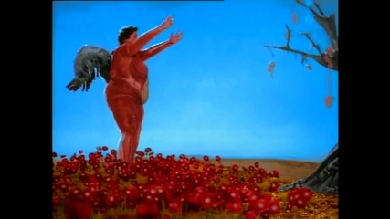 Nirvana - Heart Shaped Box