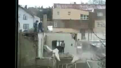 къртиииии 