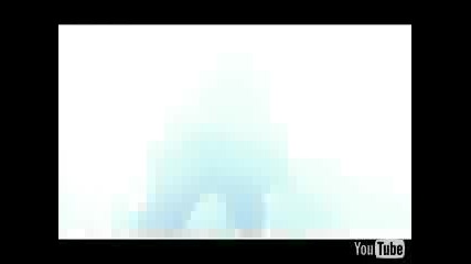 Pitbull - Blanco