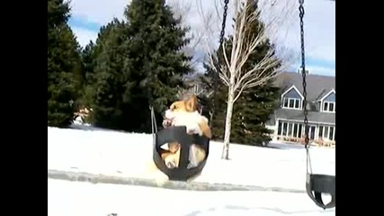Куче На Люлка