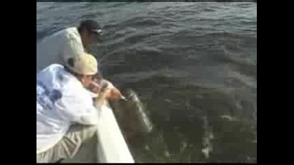 риба 