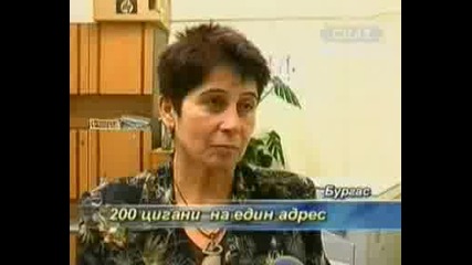 200 Цигани на -Един Адрес ...