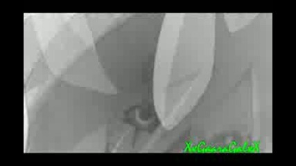 Kiba Shikamaru Tayuya - Face Down