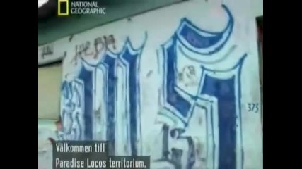 Mara Salvatrucha - Worlds Most Dangerous Gang Part 5 