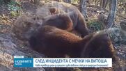 Как да реагираме при среща с диво животно