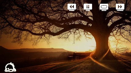 William Fitzsimmons - What You've Done (numbernin6 Remix) [hd]