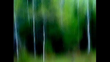 Abstract Groves