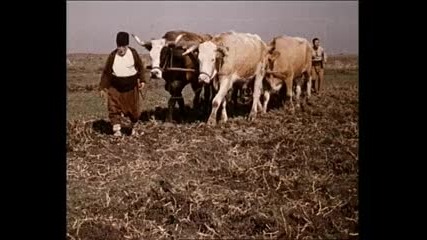 Българският филм Нона (1973) [част 7]