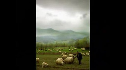 The Lonely Shepherd Gheorghe Zamfir King