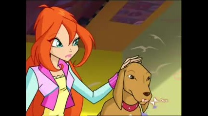 The Legend of Roxy