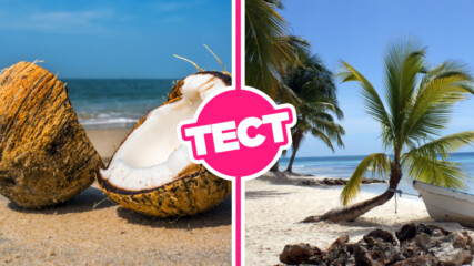 ТЕСТ: Колко добре познаваш едно от райските места на земята - Доминикана?