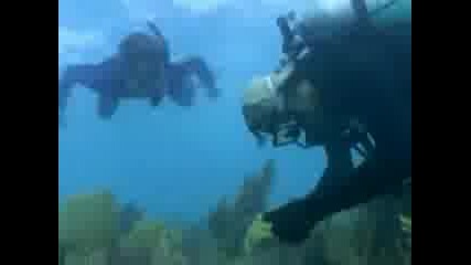 Google Earth Под Вода