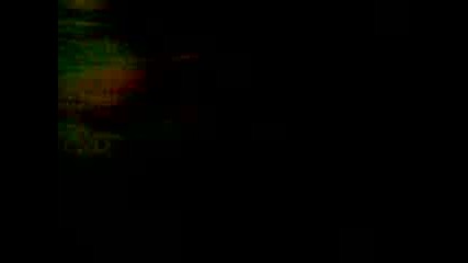 Видео001