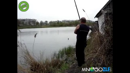 Коте лови риба на гюме