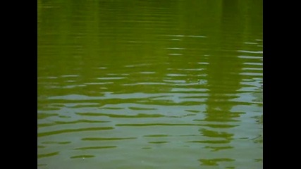 Borovo Oko