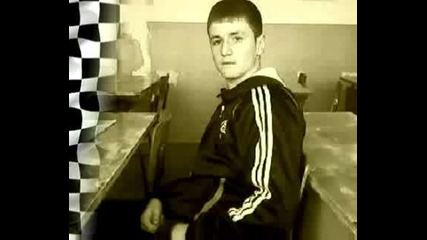 Muvee002.mp4