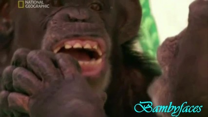 «»» Progressive ««» Dan & Sam - An Interesting Dream & video