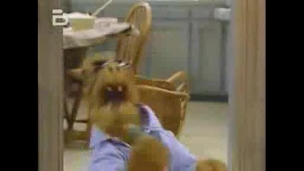 Alf very funny bg audio