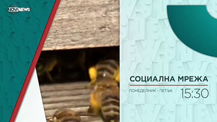 В "Социална мрежа" на 19 април от 15:30 ч. очаквайте