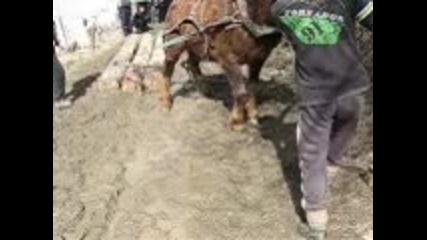 Sastezanie v Yakoruda
