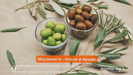 Здравни ползи и вреди от маслините (аудио статия)