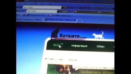 Хубав сайт за котки :) 