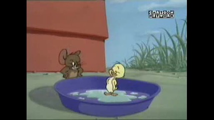 Tom and Jerry - Just Ducky