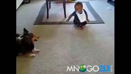 Бебе и куче в луда игра