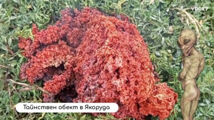 Извънземно?! Тайнствен обект падна в двор👀💥