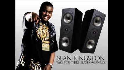 Sean Kingston - Take You There (blaze Organ Mix)