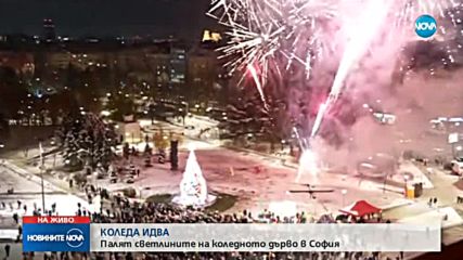 Коледните елхи в София и Пловдив грейнаха