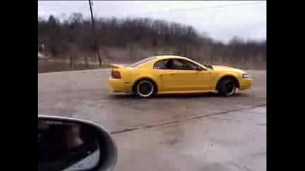 Mustang Burnout