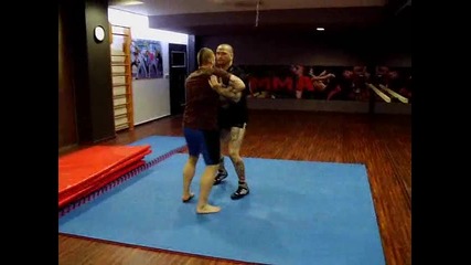 Grapplig basic moves(pleven)