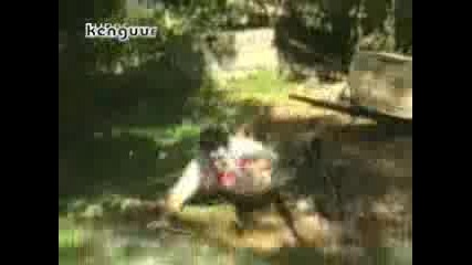 Смешна Компилация