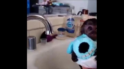 Къпане На Малка Маймунка