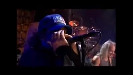 Lynyrd Skynyrd - Live The Vicious Cycle Tour [2003]