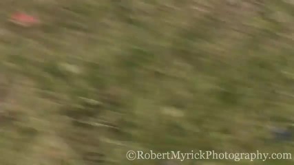 Underground Racing 250 Mph Twin-turbo Lamborghini
